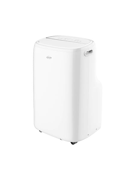 Climatizzatore ARGO portatile THOR PLUS HP 15000 BTU 398400034 pompa di calore per Raffrescamento/Riscaldamento degli ambient...